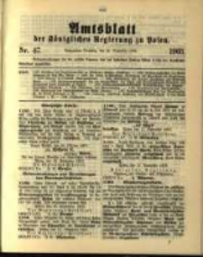 Amtsblatt der Königlichen Regierung zu Posen. 1903.11.24 Nro.47