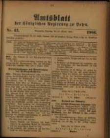 Amtsblatt der Königlichen Regierung zu Posen. 1906.10.23 Nro.43
