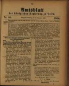 Amtsblatt der Königlichen Regierung zu Posen. 1906.11.13 Nro.46