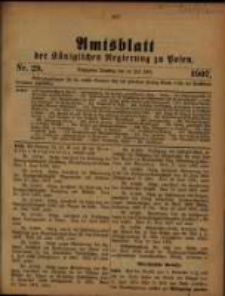 Amtsblatt der Königlichen Regierung zu Posen. 1907.07.16 Nro.29
