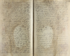 Skarga Żydów miasta N. na krzywdy ze strony kasztelana N. Formularz, Lublin 15.05.1566