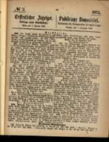 Oeffentlicher Anzeiger. 1872.01.09 Nro.2