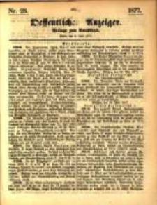 Oeffentlicher Anzeiger. 1877.06.06 Nro.23
