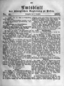 Amtsblatt der Königlichen Regierung zu Posen. 1876.11.08 Nro.45