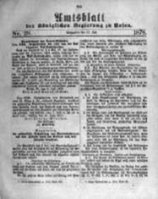 Amtsblatt der Königlichen Regierung zu Posen. 1878.07.17 Nro.29
