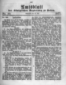 Amtsblatt der Königlichen Regierung zu Posen. 1877.07.25 Nro.30