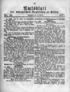 Amtsblatt der Königlichen Regierung zu Posen. 1877.10.10 Nro.41