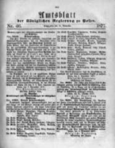 Amtsblatt der Königlichen Regierung zu Posen. 1877.11.14 Nro.46