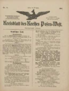 Kreisblatt des Kreises Posen-West 1916.06.22 Jg.28 Nr33