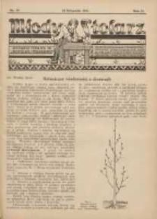 Młody Stolarz: bezpłatny dodatek do "Przeglądu Stolarskiego" 1931.11.16 R.2 Nr22
