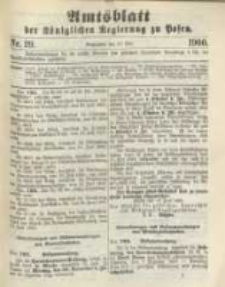 Amtsblatt der Königlichen Regierung zu Posen. 1900.07.17 Nro.29