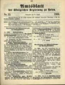 Amtsblatt der Königlichen Regierung zu Posen. 1900.08.28 Nro.35