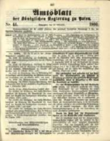 Amtsblatt der Königlichen Regierung zu Posen. 1900.11.13 Nro.46