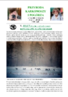 Jeleń (Cervus elaphus Linnaeus) największe zwierzę w Karkonoszach