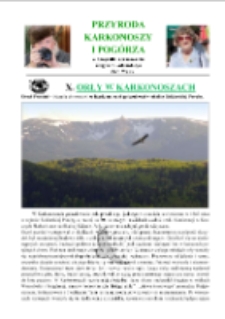 Orły w Karkonoszach