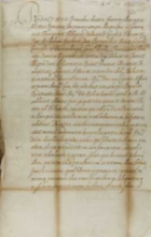 List Rudolfa II cesarza do króla Zygmunta III, Praga 16.07.1603