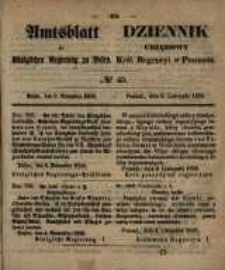 Amtsblatt der Königlichen Regierung zu Posen. 1858.11.09 Nro.45