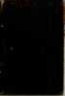 Visites au Saint Sacrement et a la Sainte Vierge