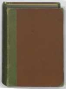 Czarna Perełka : powieść. T.2