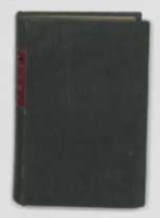 Masław : powieść z XI wieku. T.2