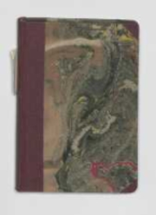 Latarnia czarnoksięska : obrazy naszych czas&oacute;w. Ser. 2. T.1