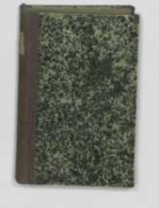 Kraków za Łoktka : powieść historyczna. T.2