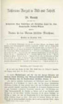 Schlesiens Vorzeit in Bild und Schrift. Bericht des ... Vereines für das Museum schlesischer Alterthümer. Band 3 Bericht 28