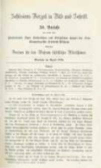 Schlesiens Vorzeit in Bild und Schrift. Bericht des ... Vereines für das Museum schlesischer Alterthümer. Band 3 Bericht 30