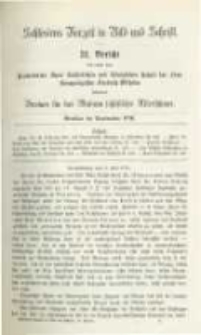 Schlesiens Vorzeit in Bild und Schrift. Bericht des ... Vereines für das Museum schlesischer Alterthümer. Band 3 Bericht 31