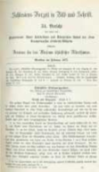 Schlesiens Vorzeit in Bild und Schrift. Bericht des ... Vereines für das Museum schlesischer Alterthümer. Band 3 Bericht 34