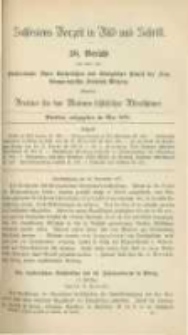 Schlesiens Vorzeit in Bild und Schrift. Bericht des ... Vereines für das Museum schlesischer Alterthümer. Band 3 Bericht 38