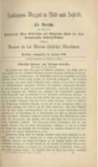 Schlesiens Vorzeit in Bild und Schrift. Bericht des ... Vereines für das Museum schlesischer Alterthümer. Band 3 Bericht 43