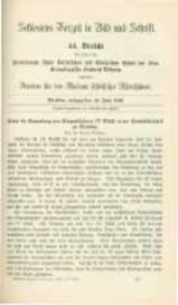 Schlesiens Vorzeit in Bild und Schrift. Bericht des ... Vereines für das Museum schlesischer Alterthümer. Band 3 Bericht 44