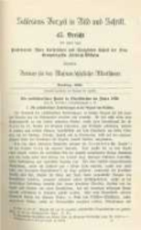 Schlesiens Vorzeit in Bild und Schrift. Bericht des ... Vereines für das Museum schlesischer Alterthümer. Band 3 Bericht 45