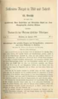 Schlesiens Vorzeit in Bild und Schrift. Bericht des ... Vereines für das Museum schlesischer Alterthümer. Band 4 Bericht 61