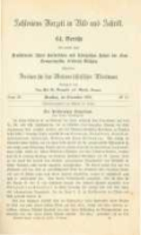 Schlesiens Vorzeit in Bild und Schrift. Bericht des ... Vereines für das Museum schlesischer Alterthümer. Band 4 Bericht 64