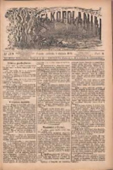 Wielkopolanin 1888.08.05 R.6 Nr179