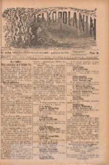 Wielkopolanin 1888.10.11 R.6 Nr234