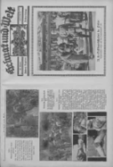 Heimat und Welt: Heimatpost: Beilage 1939.10.26 Nr41