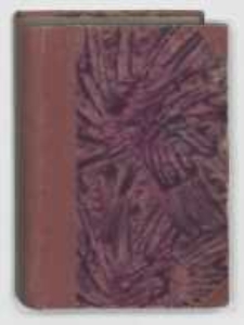 Dwa Bogi, dwie drogi : powieść wsp&oacute;łczesna. T.1