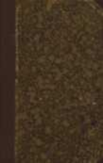 Lubonie : powieść z X wieku. T.2