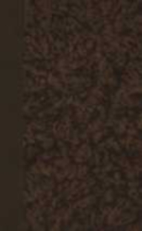 Polska w czasie trzech rozbiorów 1772-1799 : studia do historyi ducha i obyczaju. T.1, 1772-1787