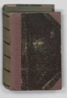 Strzemieńczyk : (czasy Władysława Warneńczyka). T.1