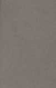 Pogląd krytyczny na wypadki z roku 1861, 1862 i 1863 i zaczerpnięte z nich wskaz&oacute;wki polityczne z powodu prac Bolesławity. T.2