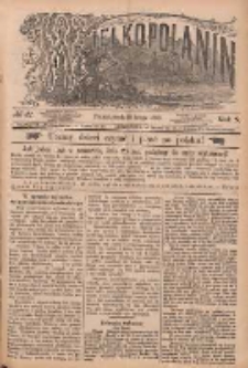 Wielkopolanin 1890.02.19 R.8 Nr41