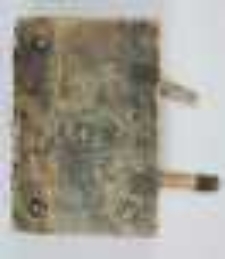 Sermones. Kazania Mikołaja z Dinkelspuhel, kazania anonimowe i varia teologiczne