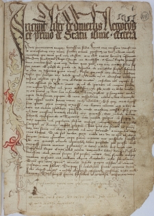 Formularz z kopiami dokumentów dotyczących spraw polskich z lat 1253-1427