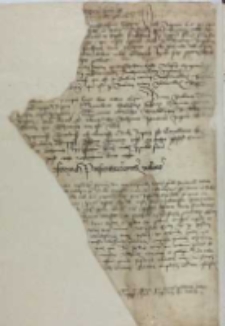 Forma presentacionis valens