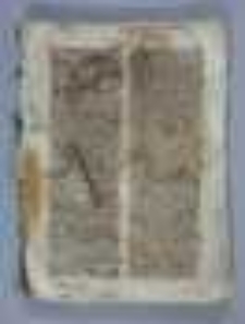 Sermones de sanctis et de tempore. Flores beati Isidori