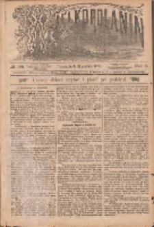 Wielkopolanin 1890.12.31 R.8 Nr299